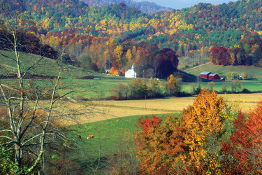 Land Conservation Advisory Committee Meeting: June 26, 2024