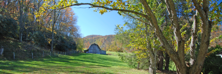  Meeting for Agricultural Advisory Board: Sep. 17, 2024